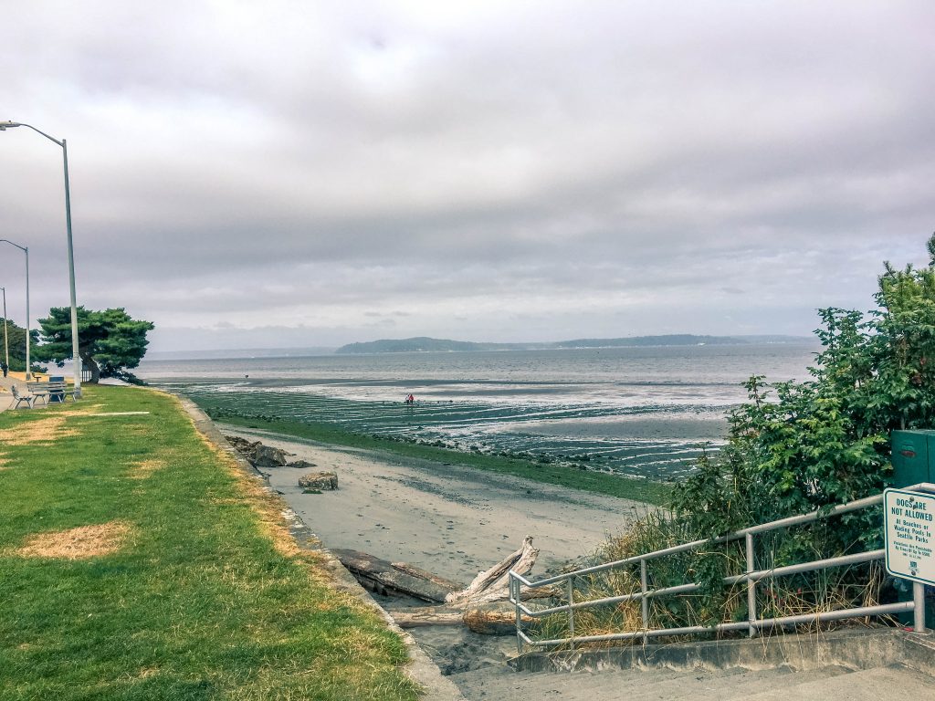 Looking off towards Blake Island