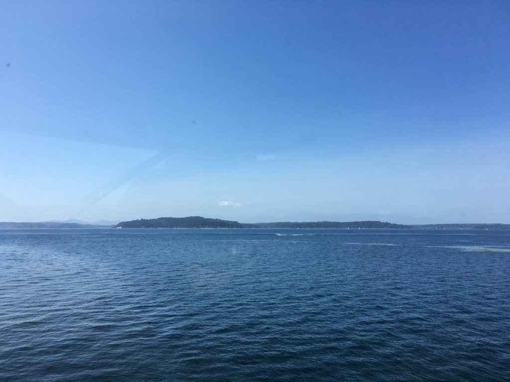 The view from the top of Alki Point Lighthouse