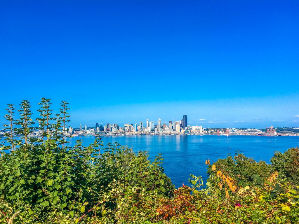 A lovely view from Hamilton Viewpoint Park