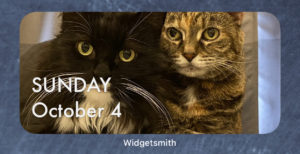 Calendar widget with a photo of my cats behind it.